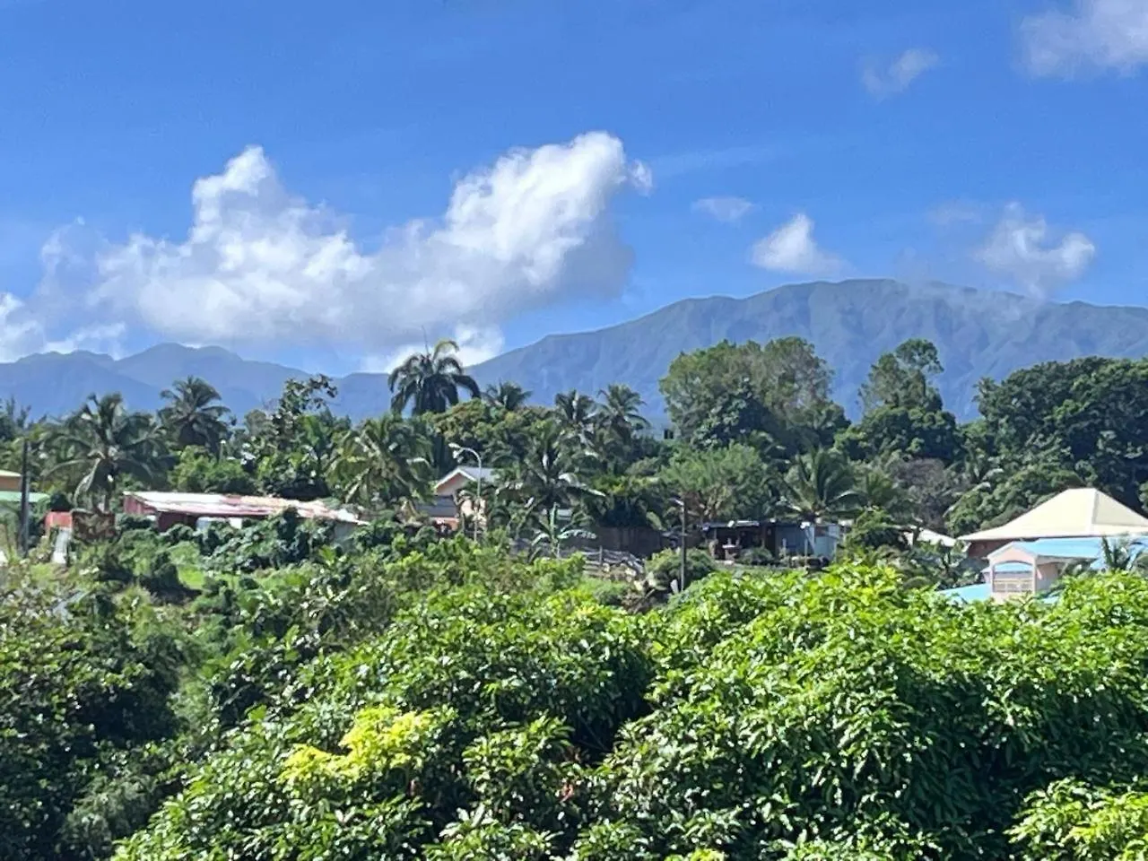 珀蒂堡Orchidee Guadeloupe公寓 公寓 珀蒂堡